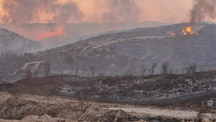 Limasol’un Alassa köyünde çıkan yangın Limasol’un Alassa köyünde çıkan yangın