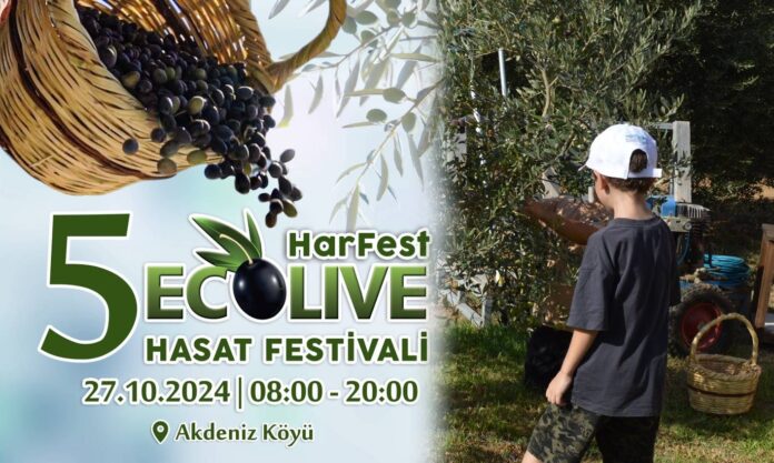 hasat-festivali-2- Akdeniz'de bu pazar Ecolive Hasat Festivali var Akdeniz'de bu pazar Ecolive Hasat Festivali var