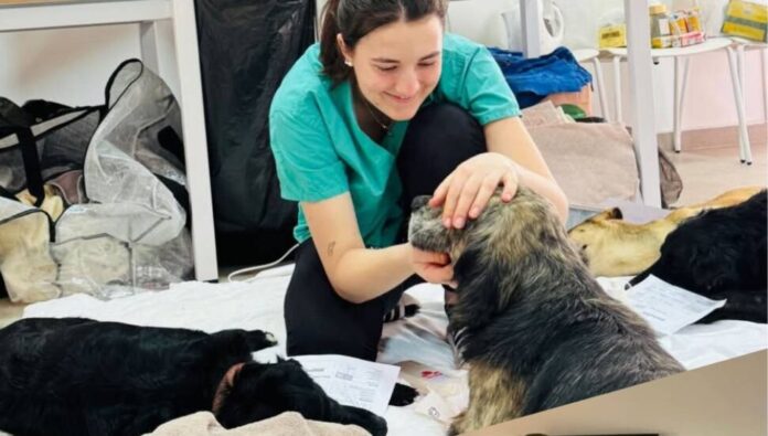 Güzelyurt’ta 150’nin üzerinde kedi ve köpek kısırlaştırıldı Güzelyurt’ta 150’nin üzerinde kedi ve köpek kısırlaştırıldı