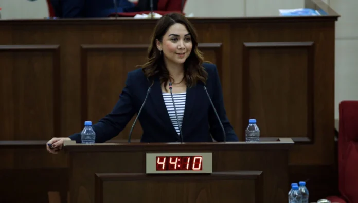 Ayşegül Baybars Ayşegül Baybars