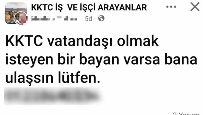 Skandal ilan: