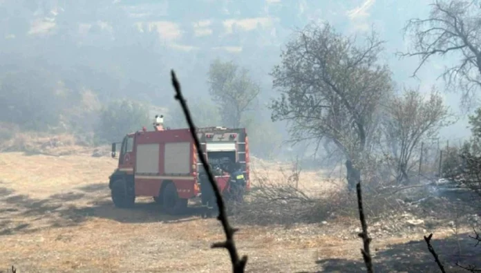 Limasol’un dağlık bölgelerindeki yangın için uluslararası destek istendi!