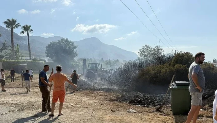 Çatalköy’de ormanlık alanda çıkan yangın kısa sürede kontrol altına alındı