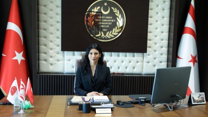 Fazilet Özdenefe: Halkımızın güçlü bir iradeyle Cumhurbaşkanı seçtiği Tufan Erhürman’ı kutluyorum