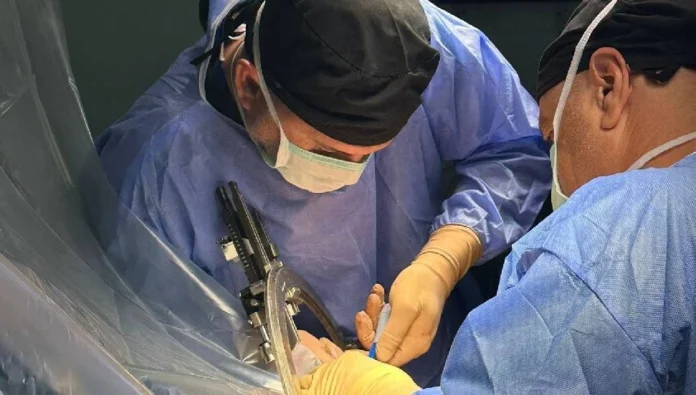 Op. Dr. Çağın Ozankaya uyardı: Midye ve kabuklu deniz ürünler iyi pişse bile zehri yok olmuyor