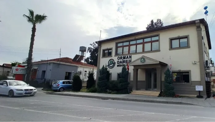 İzinsiz ağaç kesip, ateş yakmaya 3 asgari ücret tutarında para cezası