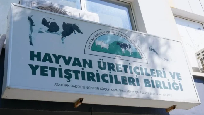 Hayvan Üreticileri ve Yetiştiricileri Birliği: Hayvancılık sektörü göz göre göre çökertiliyor